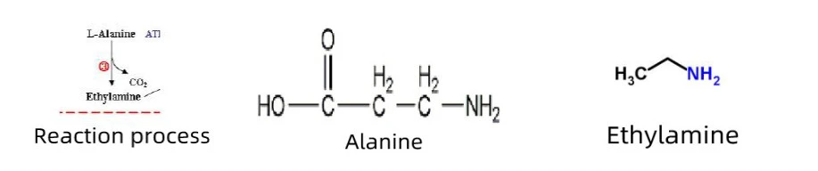 product-1-1 product-1-1