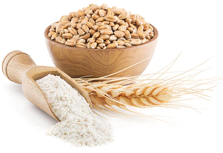 wheat germ extract wheat germ extract