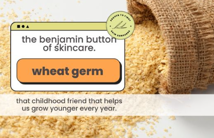 wheat germ powder wheat germ powder