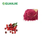 Bubuk Cranberry Beku Kering