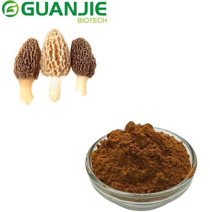 Ekstrak jamur morel