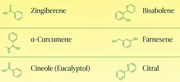 key Ingredients In Ginger Extract key Ingredients In Ginger Extract