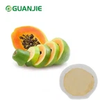 Bubuk Jus Pepaya